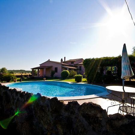 Agriturismo Il Grillo Parlante Pitigliano Eksteriør billede