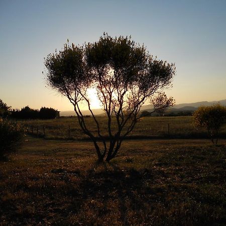Agriturismo Il Grillo Parlante Pitigliano Eksteriør billede