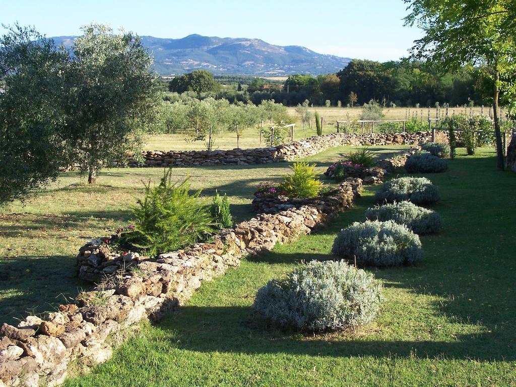 Agriturismo Il Grillo Parlante Pitigliano Eksteriør billede