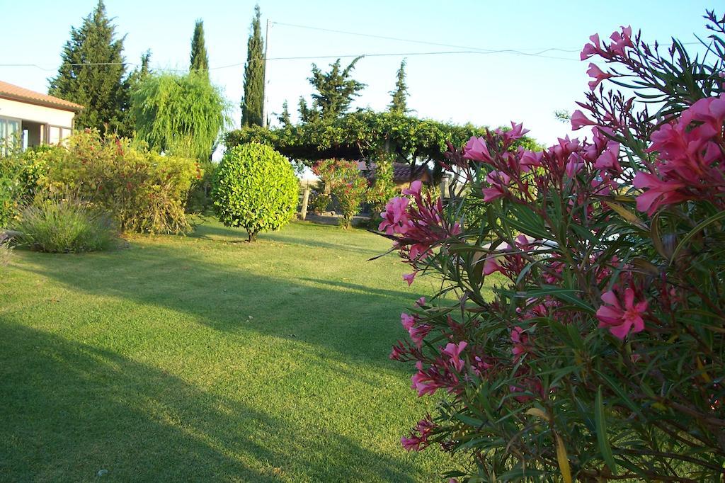 Agriturismo Il Grillo Parlante Pitigliano Eksteriør billede