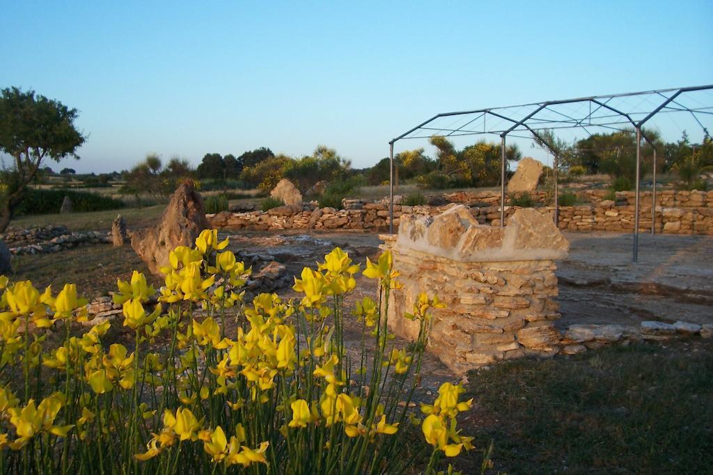 Agriturismo Il Grillo Parlante Pitigliano Eksteriør billede