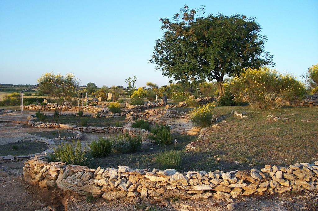 Agriturismo Il Grillo Parlante Pitigliano Eksteriør billede