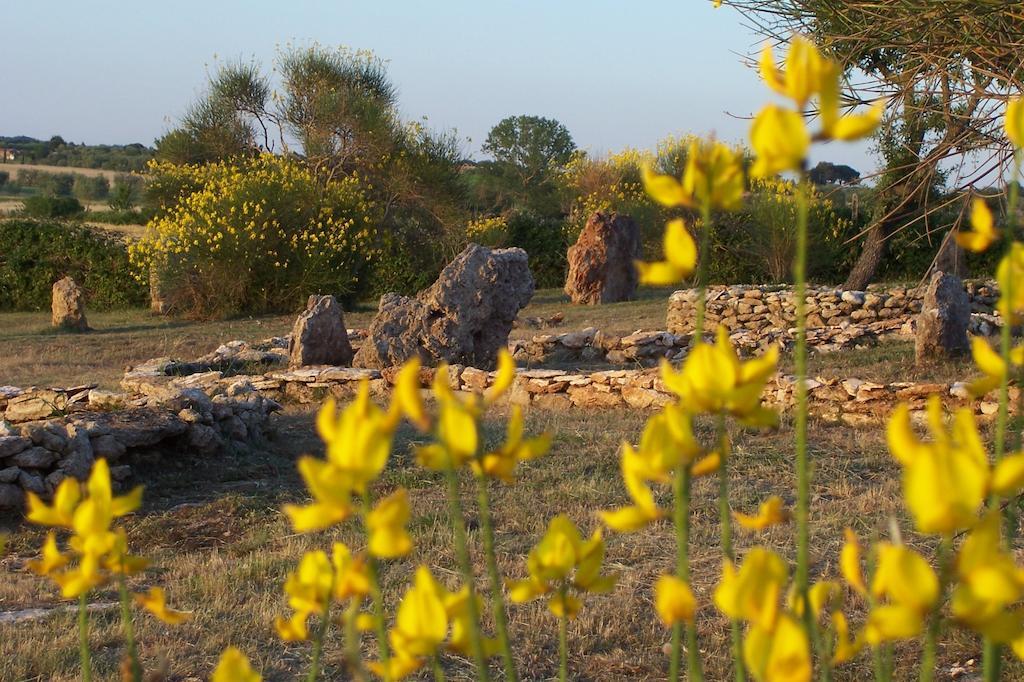 Agriturismo Il Grillo Parlante Pitigliano Eksteriør billede