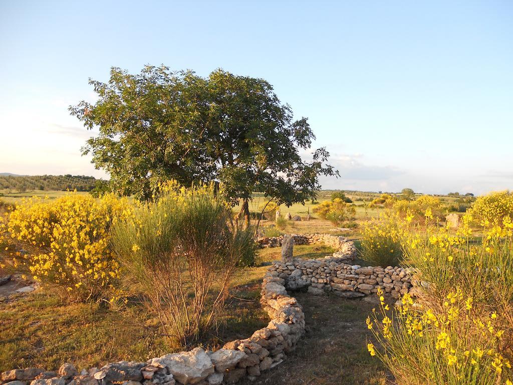 Agriturismo Il Grillo Parlante Pitigliano Eksteriør billede