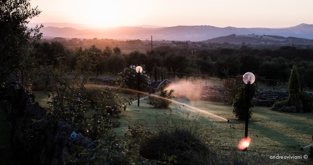 Agriturismo Il Grillo Parlante Pitigliano Eksteriør billede