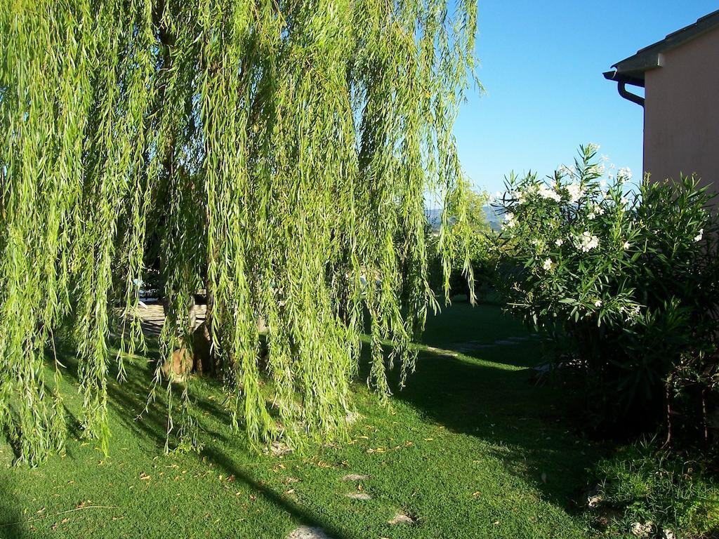 Agriturismo Il Grillo Parlante Pitigliano Eksteriør billede